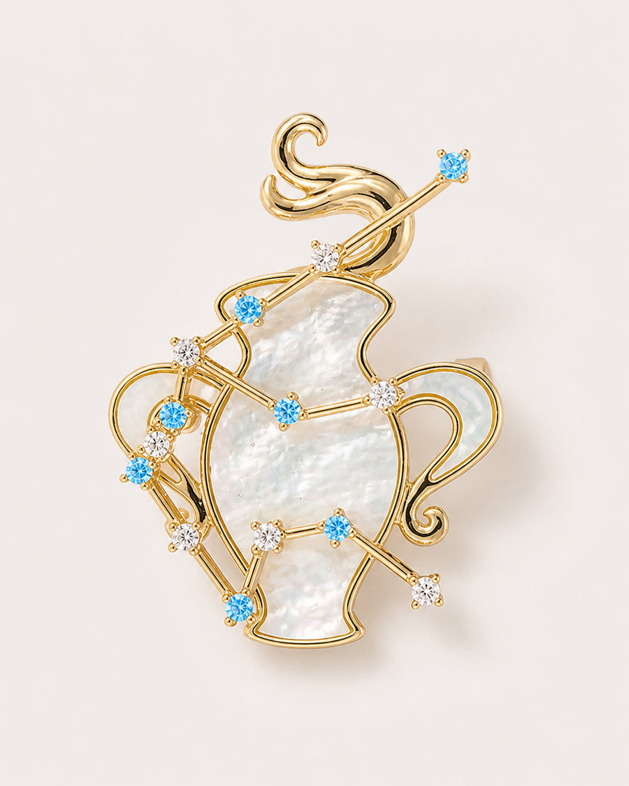 The Sign You Carry Zodiac Brooch