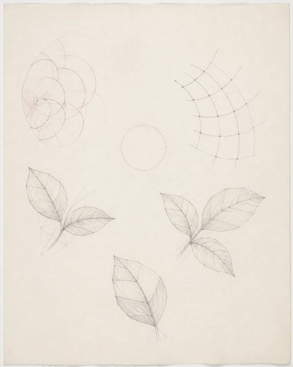 Petal Arcs and Leaf Planes