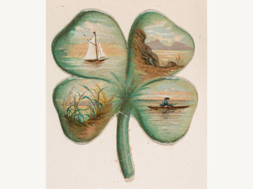 A clover on paper