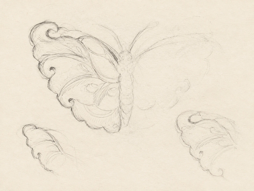 Wings reduced to a gesture