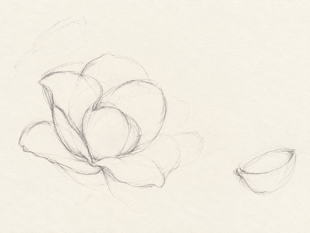 A few nested arcs