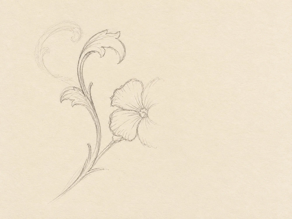 A curl, an unfinished blossom