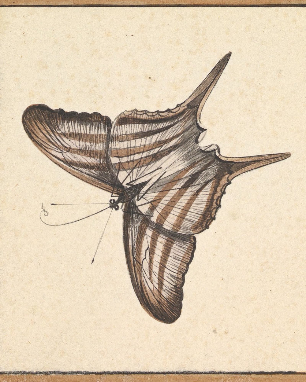 The Lift of a Wing