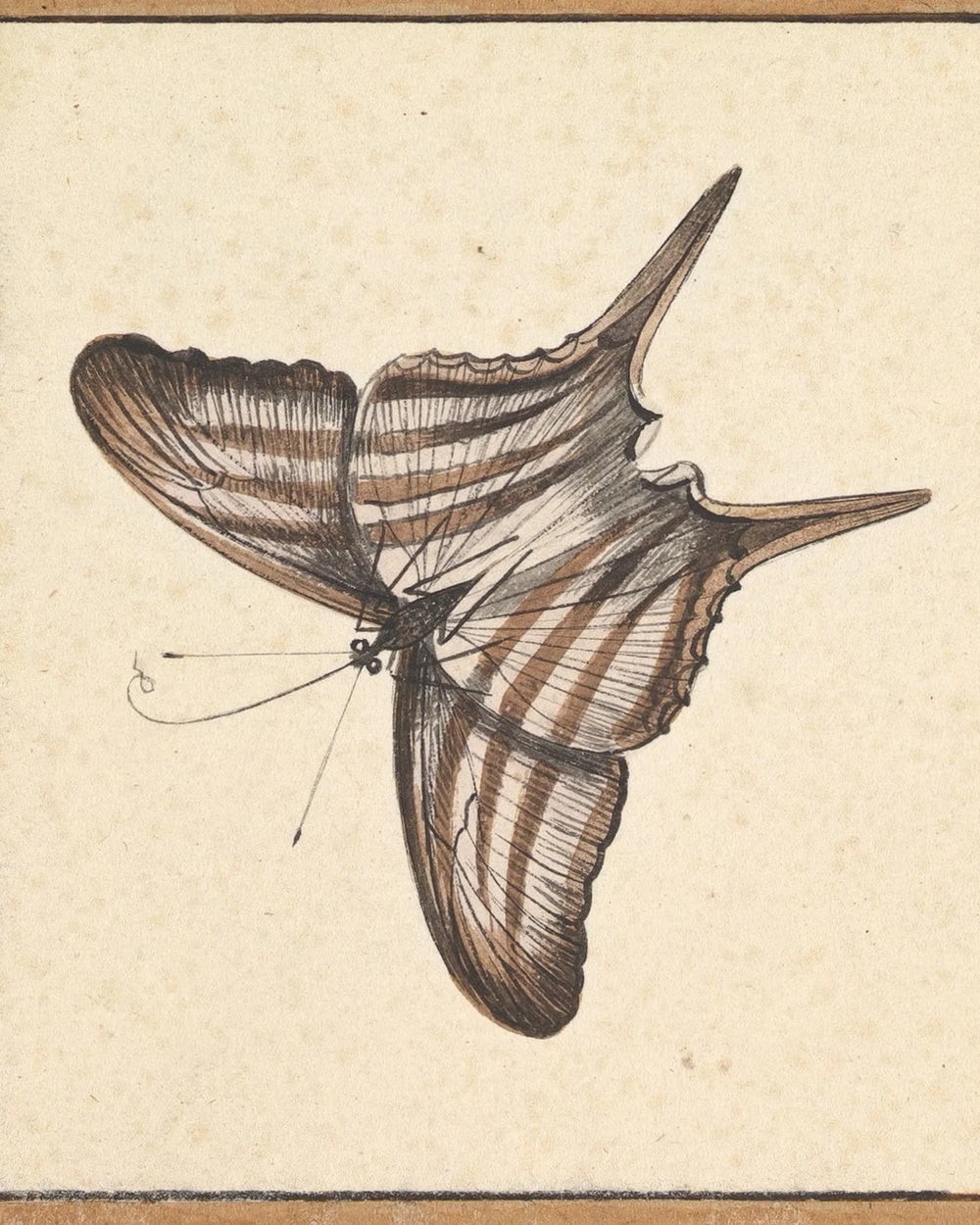 A butterfly in balance