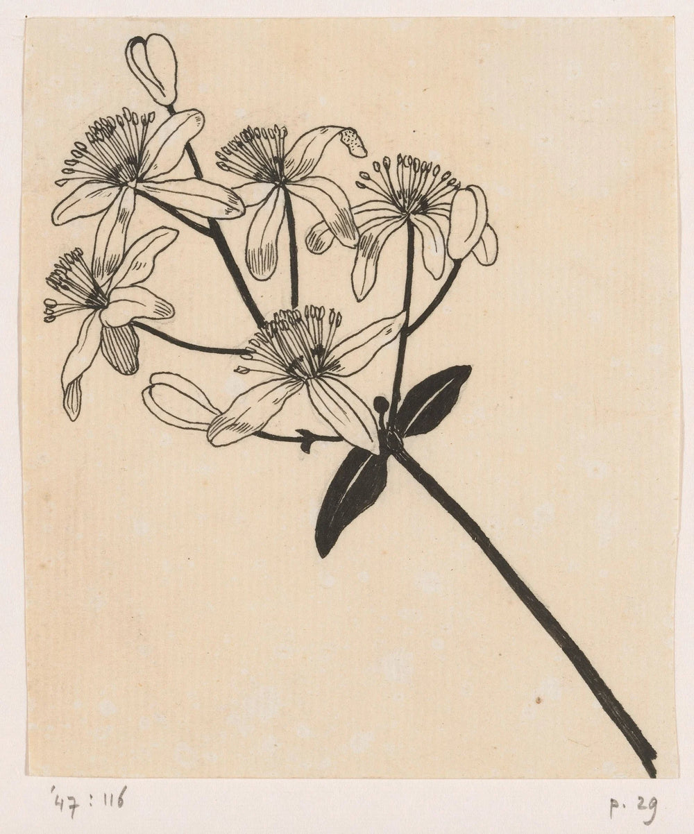 Petals opening outward