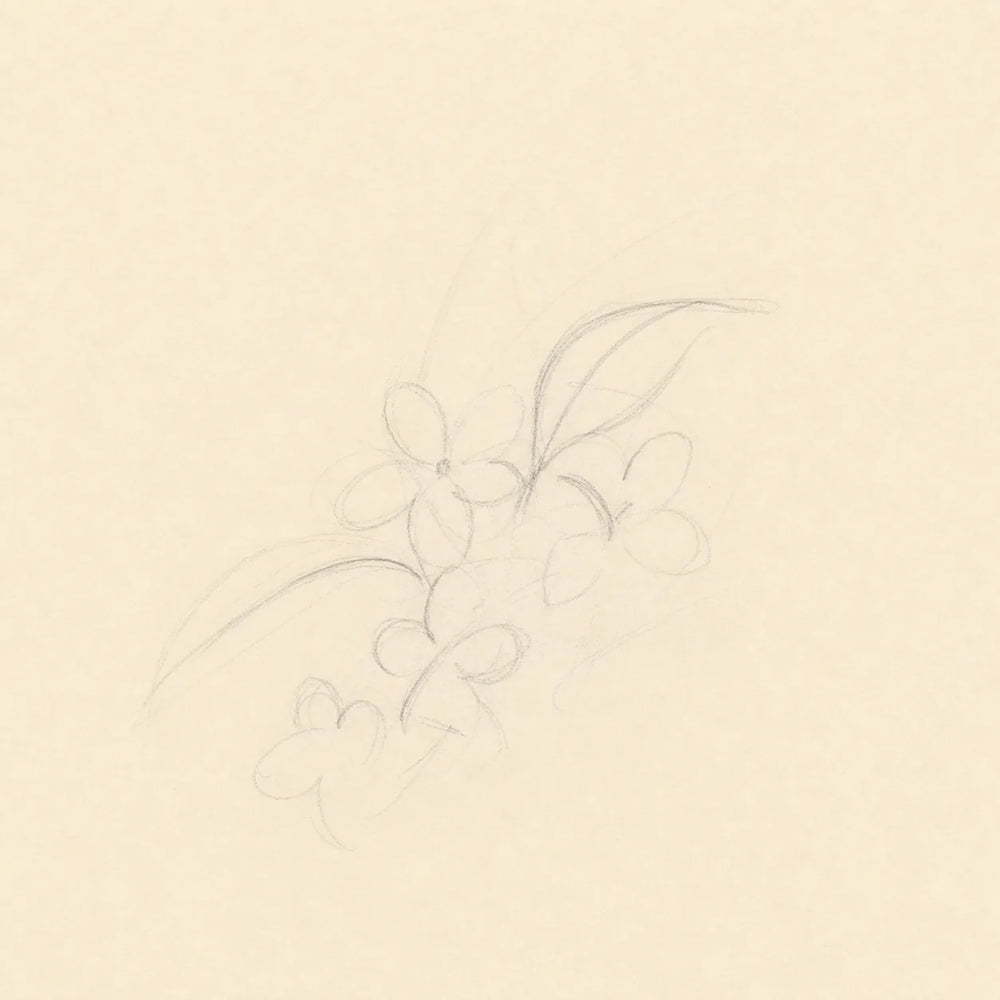 Cluster, Stem, and Leaf Direction