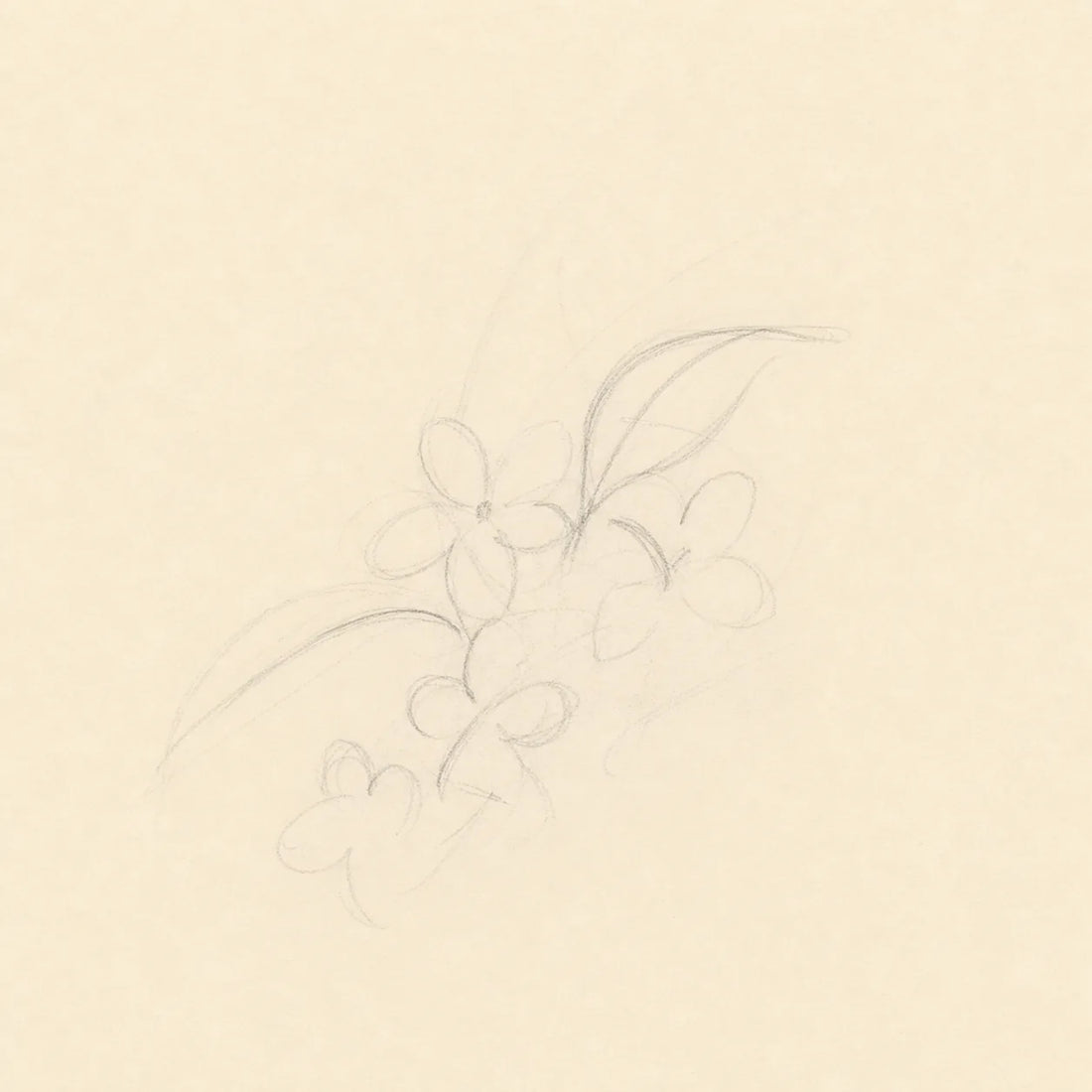 Cluster, Stem, and Leaf Direction