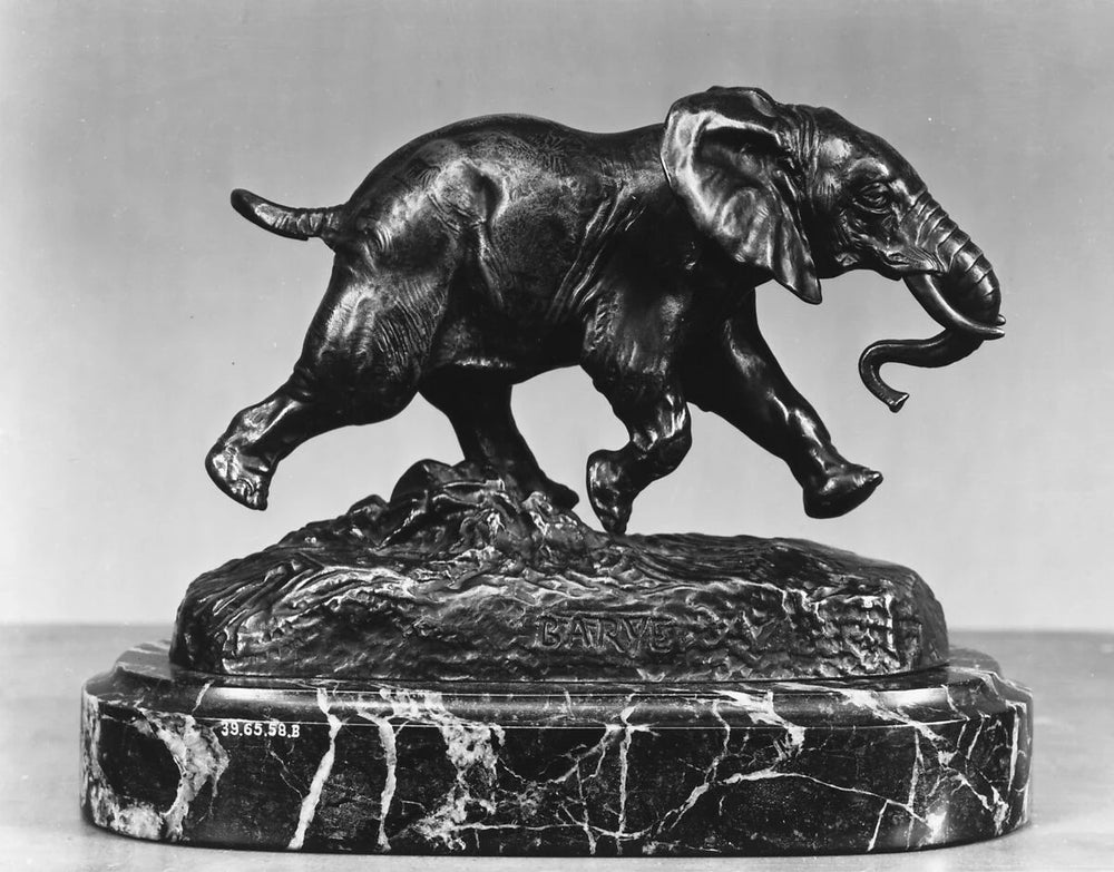 An elephant in motion