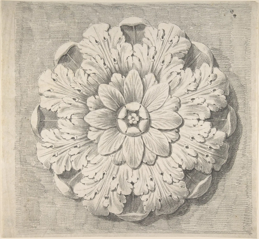 Layers of a rosette