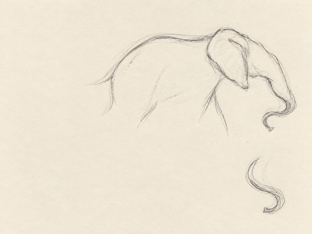 Ear, back and trunk