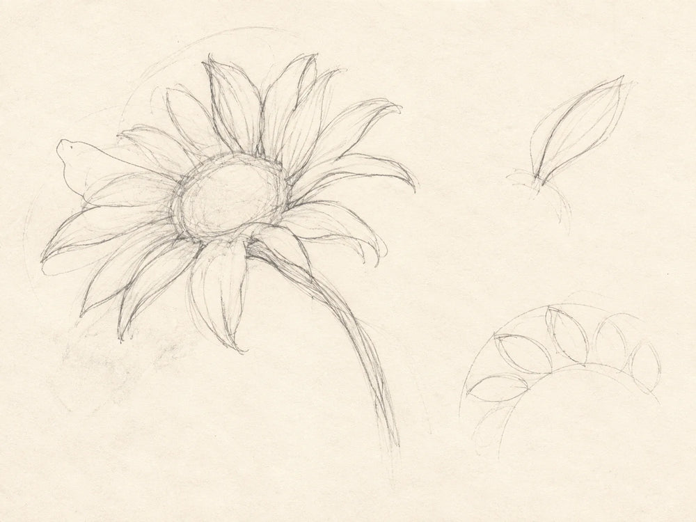 Petals around a center