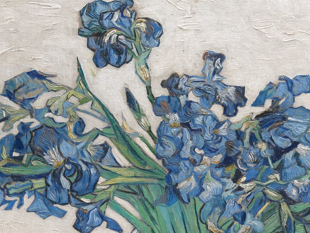 The folded planes of an iris