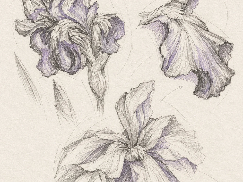 Petal folds and overlapping planes