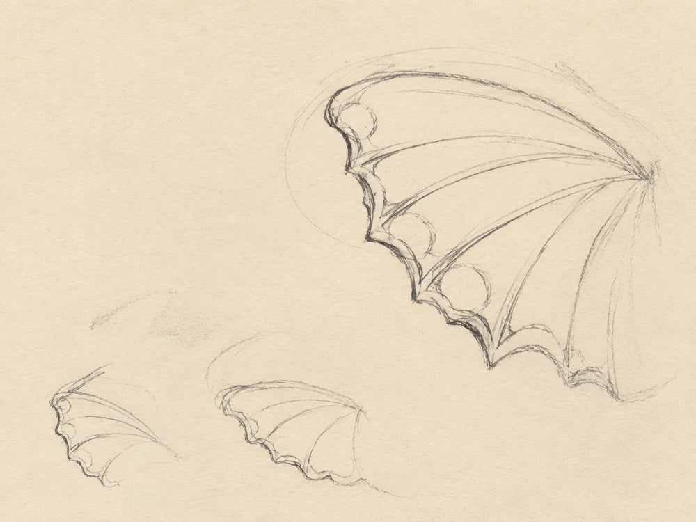 A wing in graphite