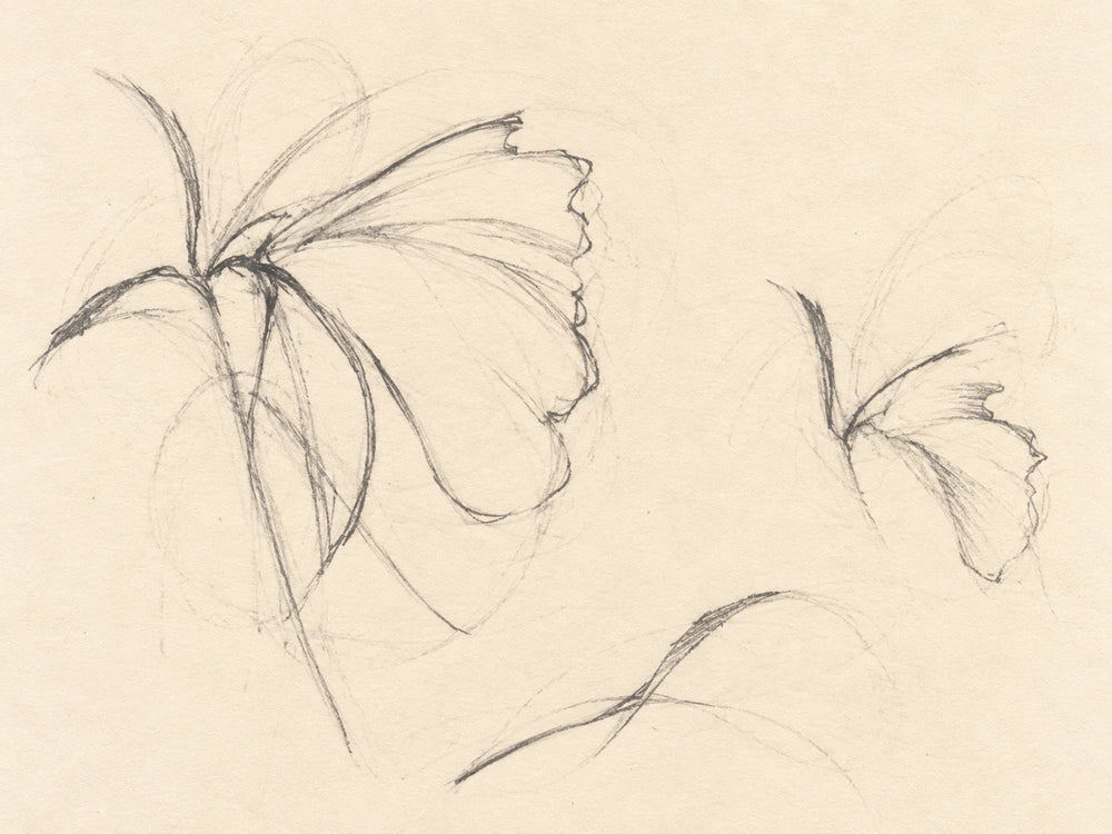 Contour before detail