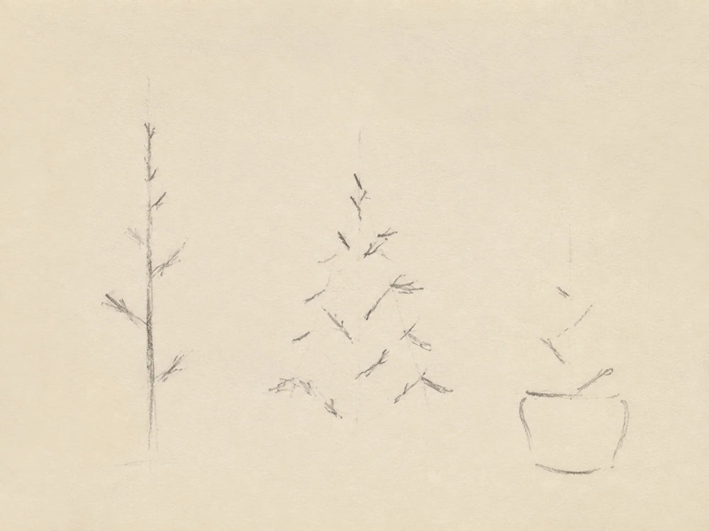 Branches Before Stones