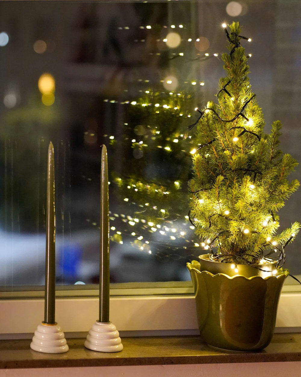 A Potted Evergreen