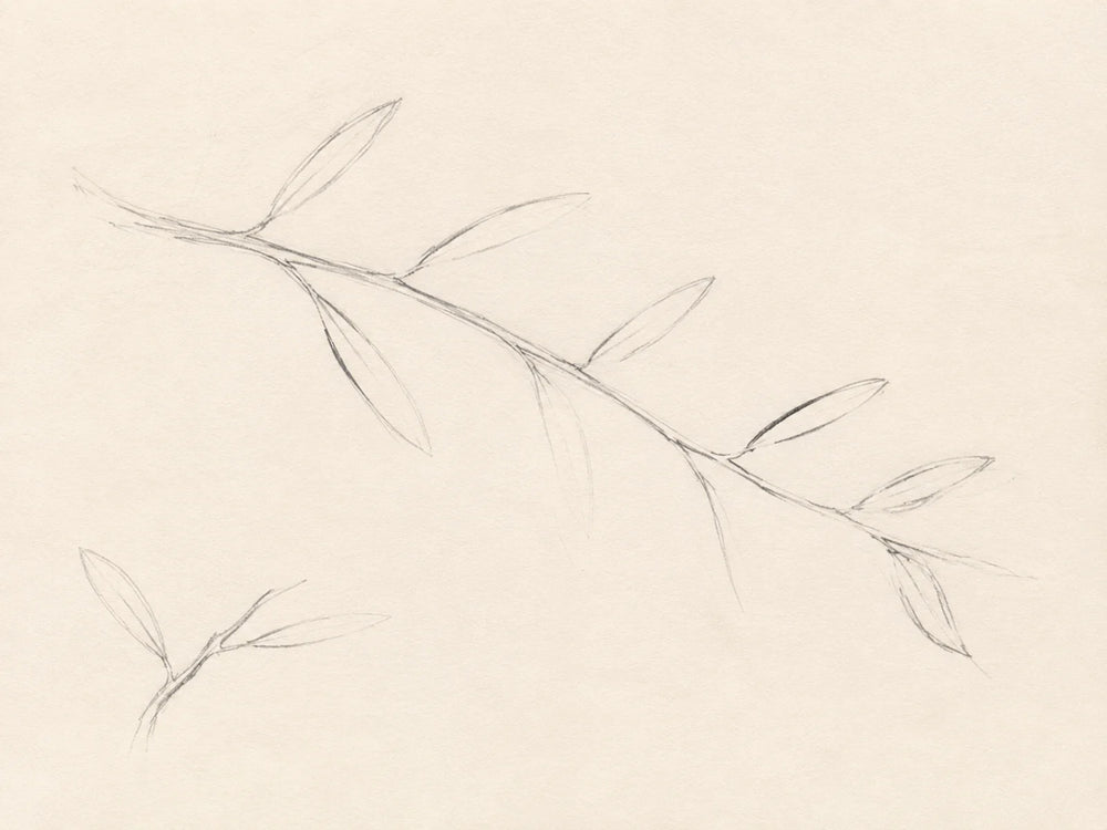 An Unfinished Leaf Rhythm
