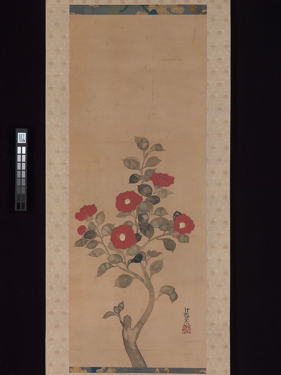 Camellias in Quiet Layers