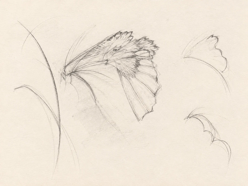 A pair of wing gestures