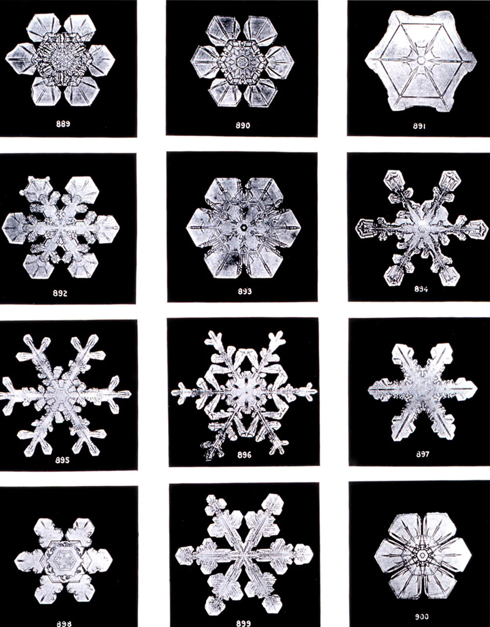 The rhythm of sixfold symmetry