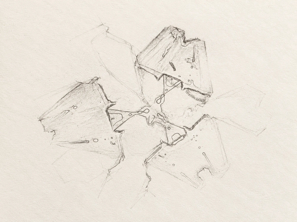 Following the radial divisions