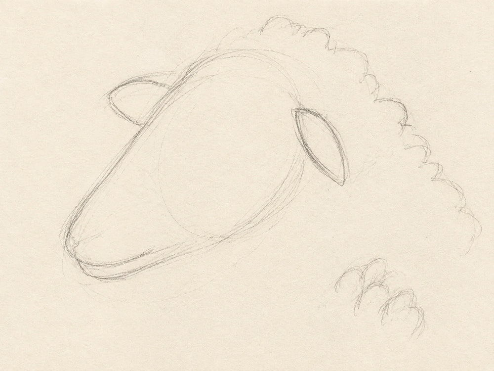 Face, Ears and Soft Edges