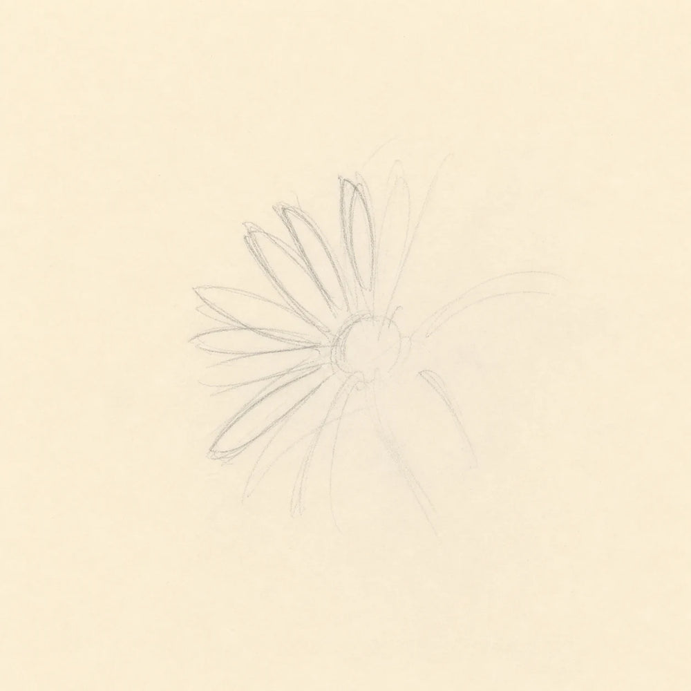 A Partial Radial Study