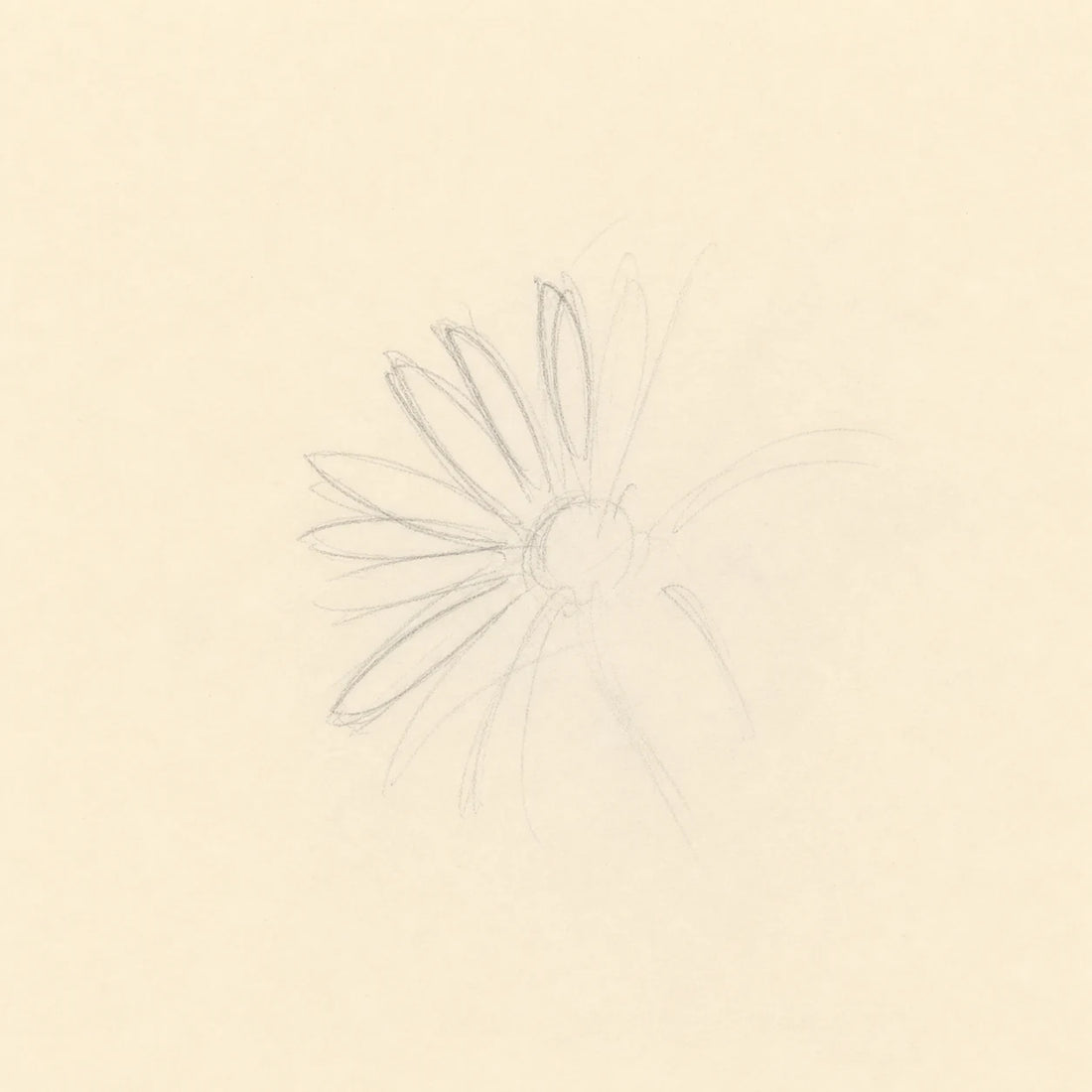 A Partial Radial Study