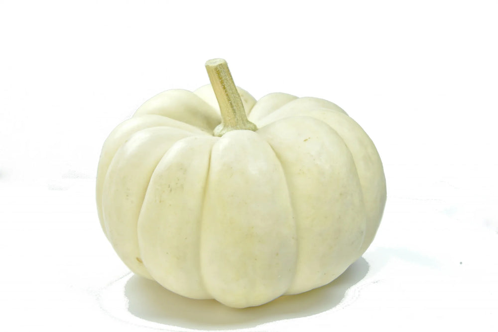 The Soft Ribs of White Pumpkin