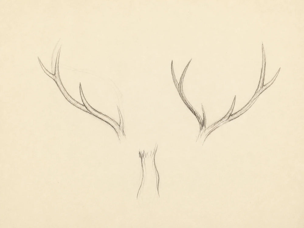 A Branching Gesture