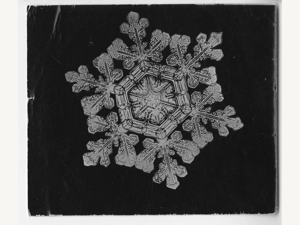 A snow crystal in light