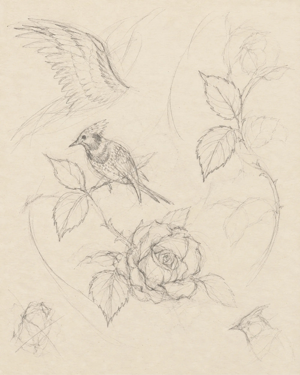 A wing, a bloom, a falling line