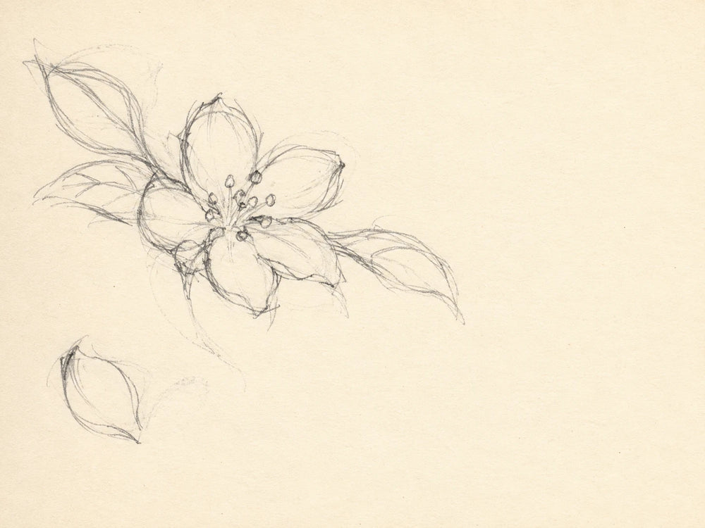 Petals before the detail