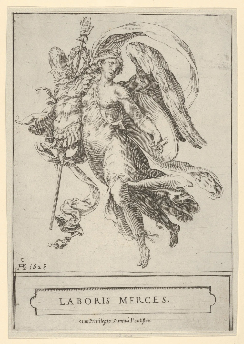 The sweep of a wing