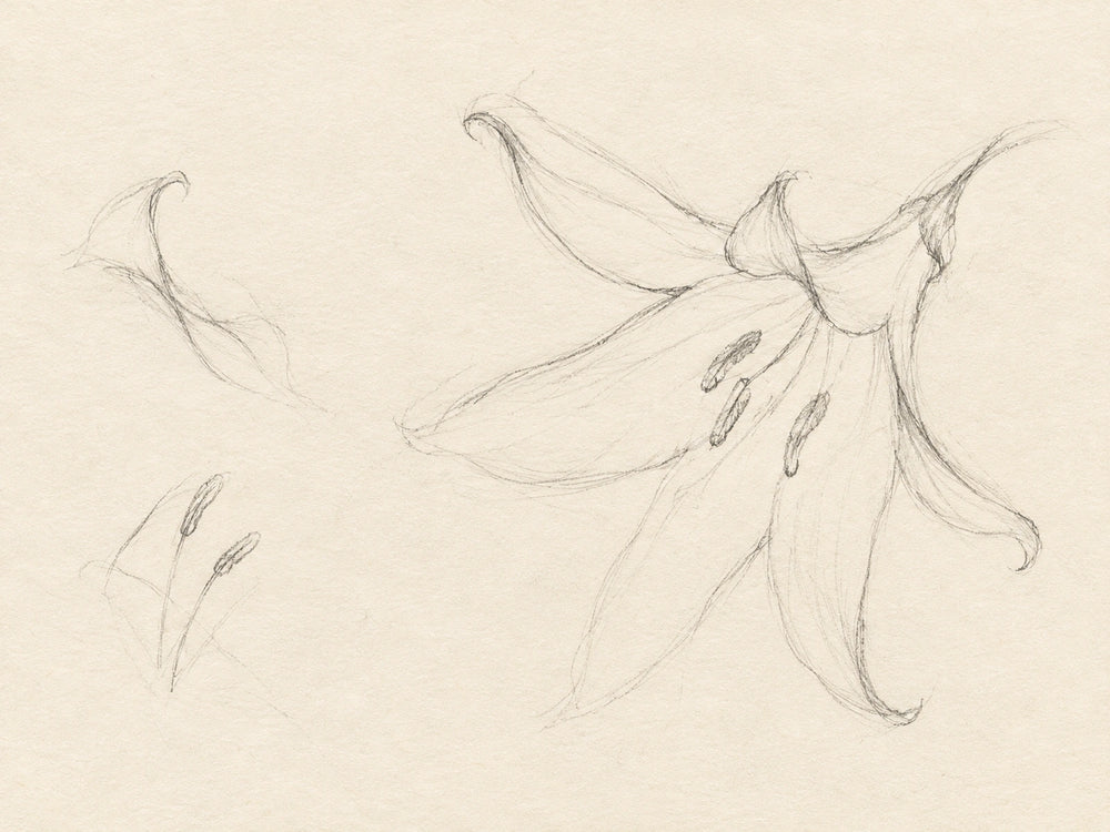 A few petal gestures