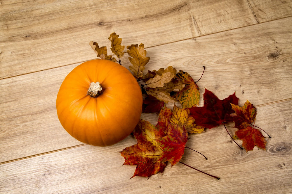 Pumpkin, Leaves and Autumn Rhythm