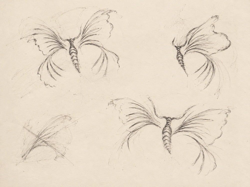 A wing reduced to directional lines