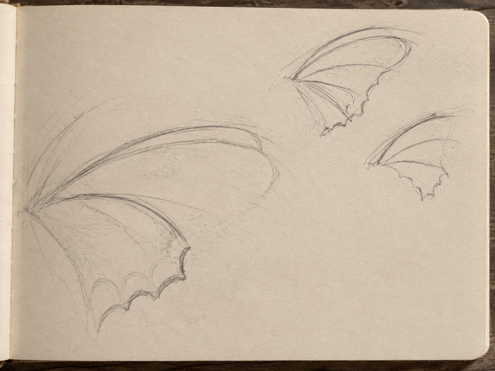 A wing in graphite