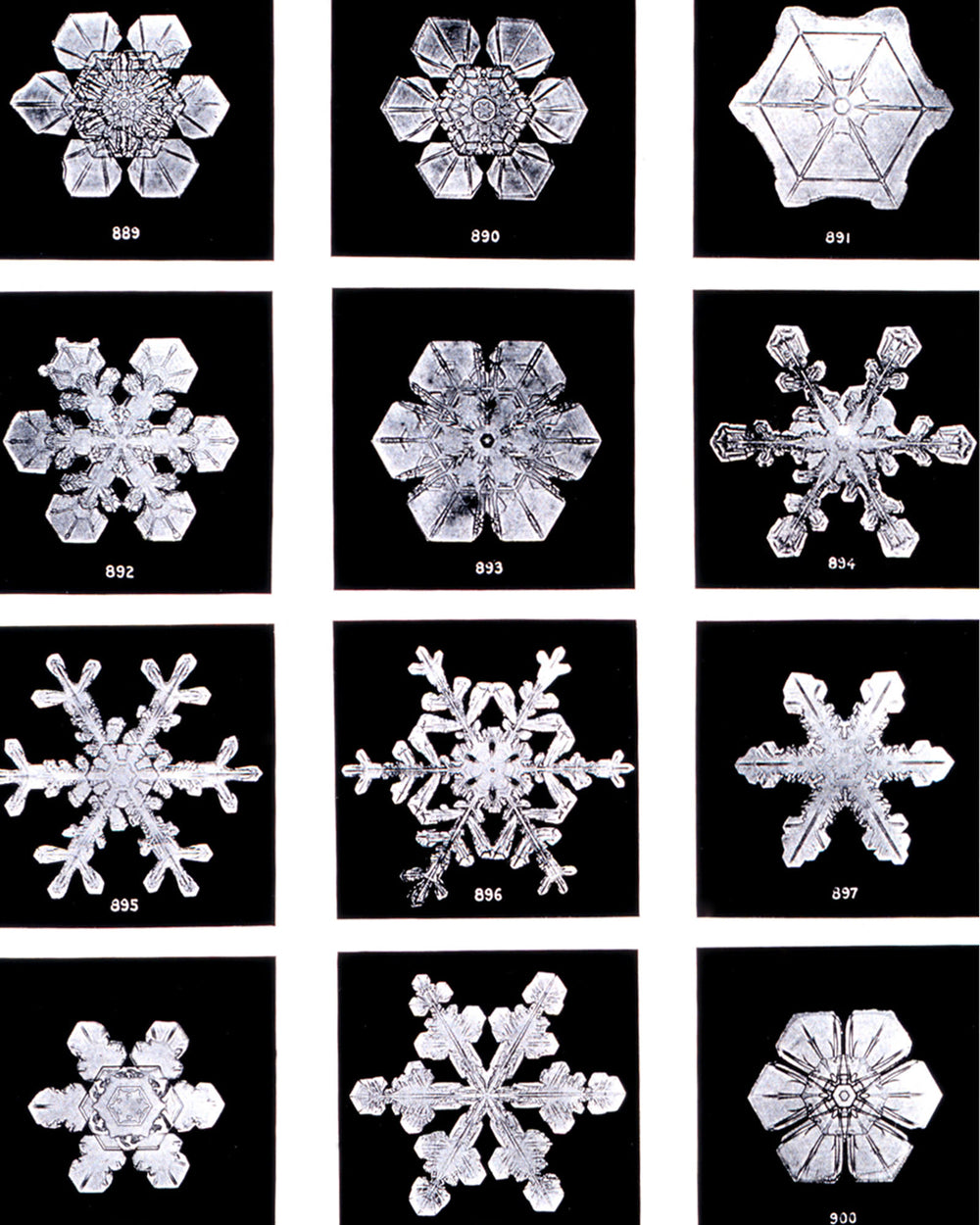 Snow Crystal Geometry