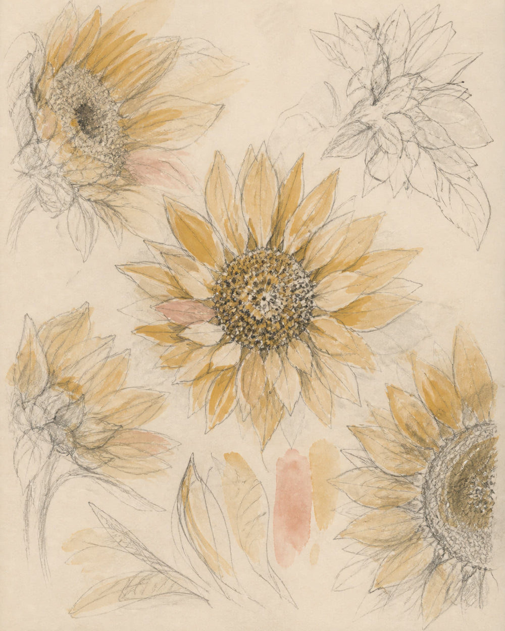 Building the Circular Bloom