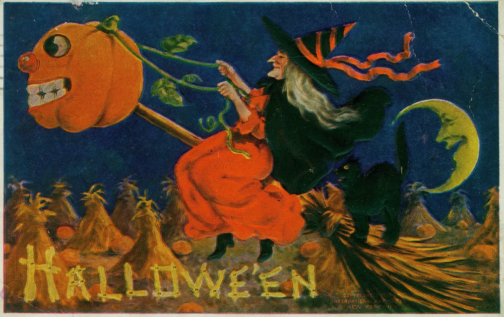 A Witch and Cat in Flight