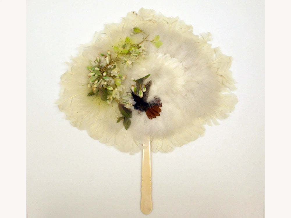 The spread of a feather fan
