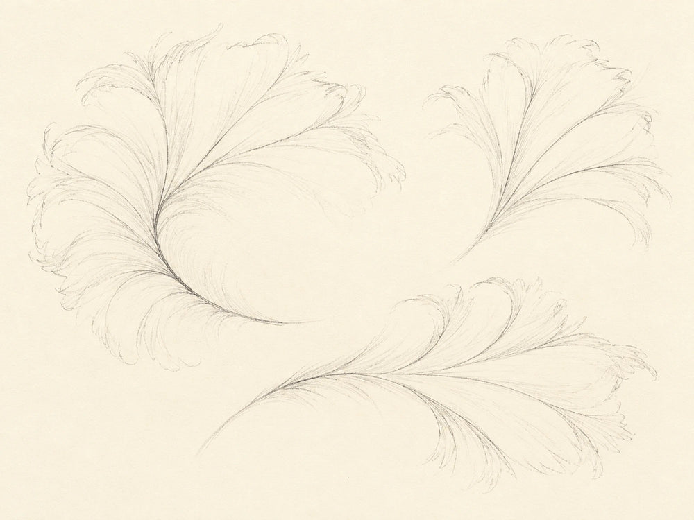 A plume and its intervals