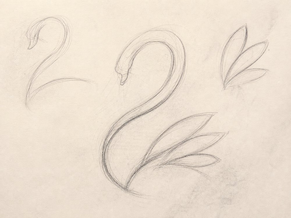 Neck curve, feather line