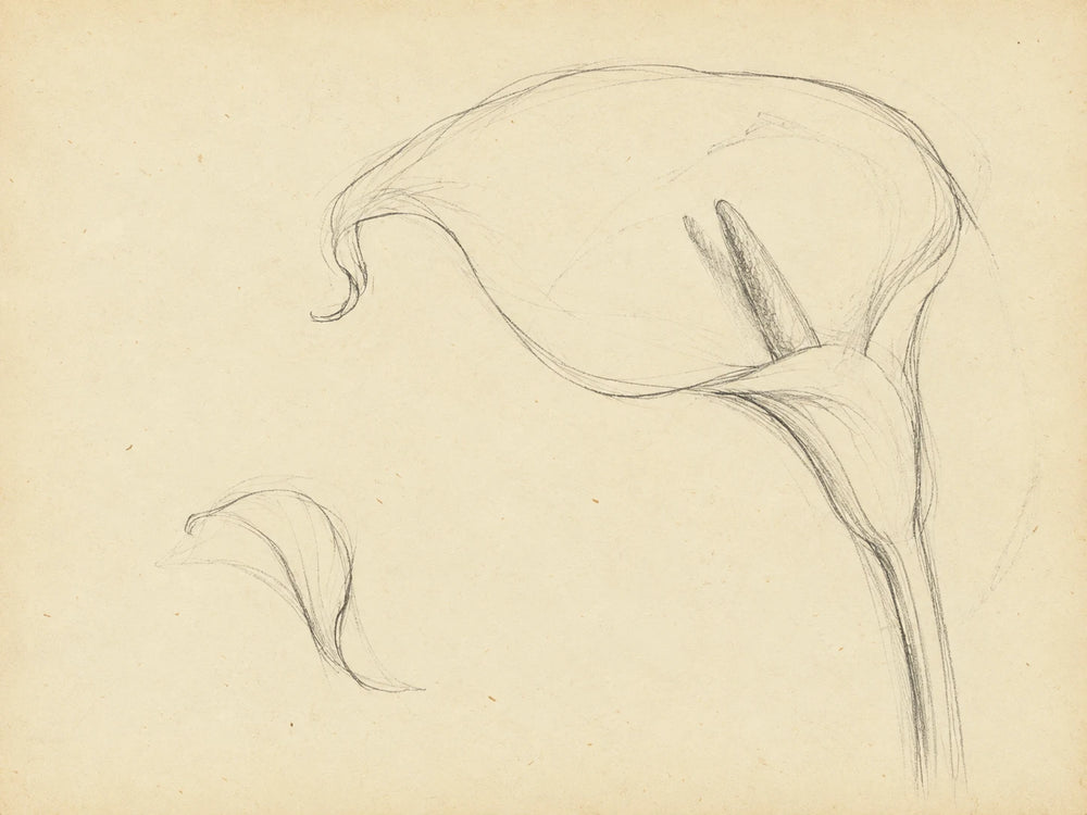 A fold and a stem
