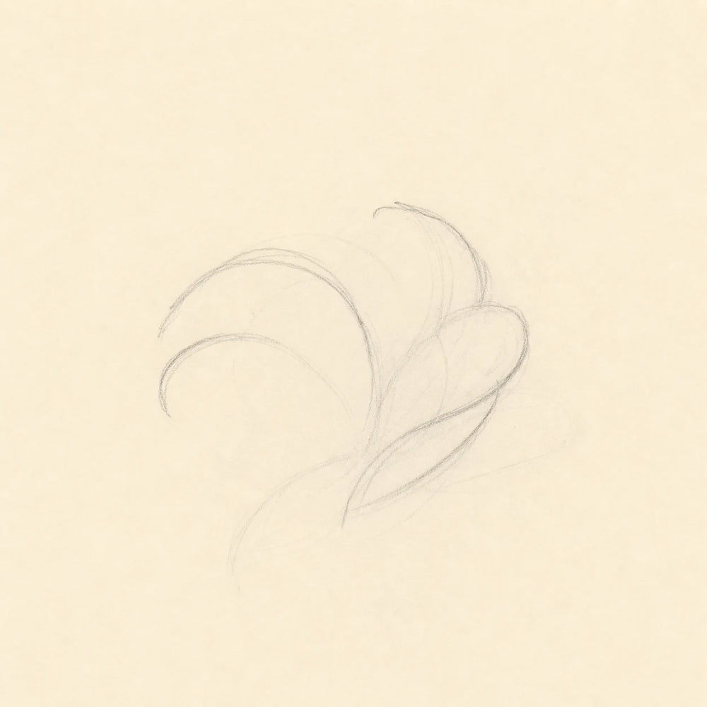Three Overlapping Petal Curves