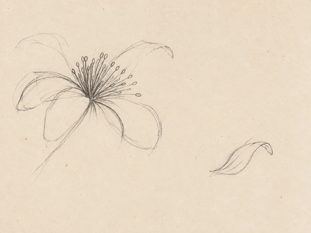 A loose radial study