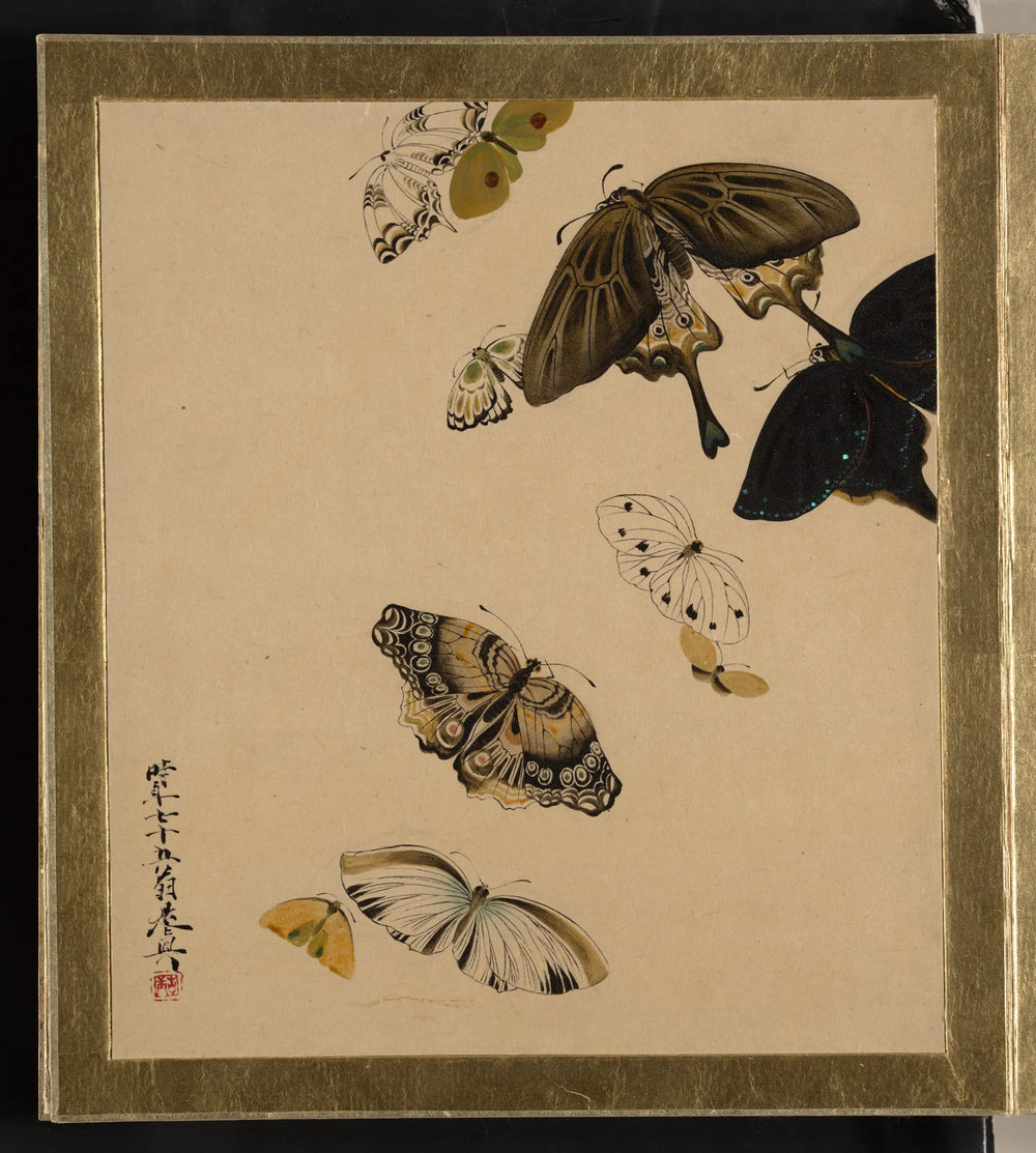 Butterflies, 1881